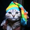 Аватар користувача